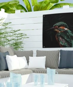 MuchoWow Outdoor-Poster 50x50 Eisvogel - Vogel -Gartenaccessoires Verkäufe 2022 b2a3d480c1b6441f97a8435c672cbc59