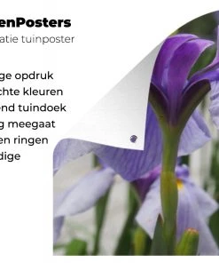 MuchoWow Outdoor-Poster 80x40 Japanische -Gartenaccessoires Verkäufe 2022 b2cebe458da5416e89297d704941a787.cropped 45 19 1455 962.processed