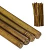 Relaxdays Pflanzstäbe 20 cm im 100er Set 1 Relaxdays Pflanzstäbe 20 cm im 100er Set -Gartenaccessoires Verkäufe 2022 b3b9b39e29384c4ca7ffe265c3bab0f8