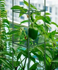 Relaxdays Rankhilfe 4er Set 120 cm -Gartenaccessoires Verkäufe 2022 b487912494e14153bff2342bd2949085