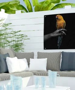 MuchoWow Outdoor-Poster 50x50 Vogel - Papagei -Gartenaccessoires Verkäufe 2022 b5fdb3973c34467c9718de438f649cc1