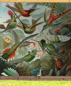 MuchoWow Outdoor-Poster 200x200 Trochilidae - -Gartenaccessoires Verkäufe 2022 b65c5f95f821431f8fa02d33d9d9421e