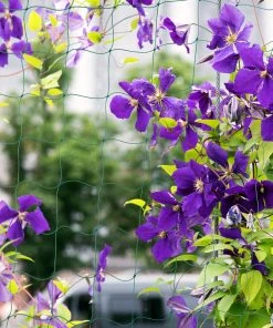 Relaxdays Ranknetz 180 x 360 cm -Gartenaccessoires Verkäufe 2022 b6ac0969acbe4c7f962dbb73557f3ea1