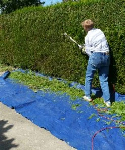 ECD Germany Abdeckplane mit Ösen 3x4 m 180g/m² Blau - Blau - Höhe: 4 cm -Gartenaccessoires Verkäufe 2022 b722dec6bd1446698bbbeb425a7644cb 5