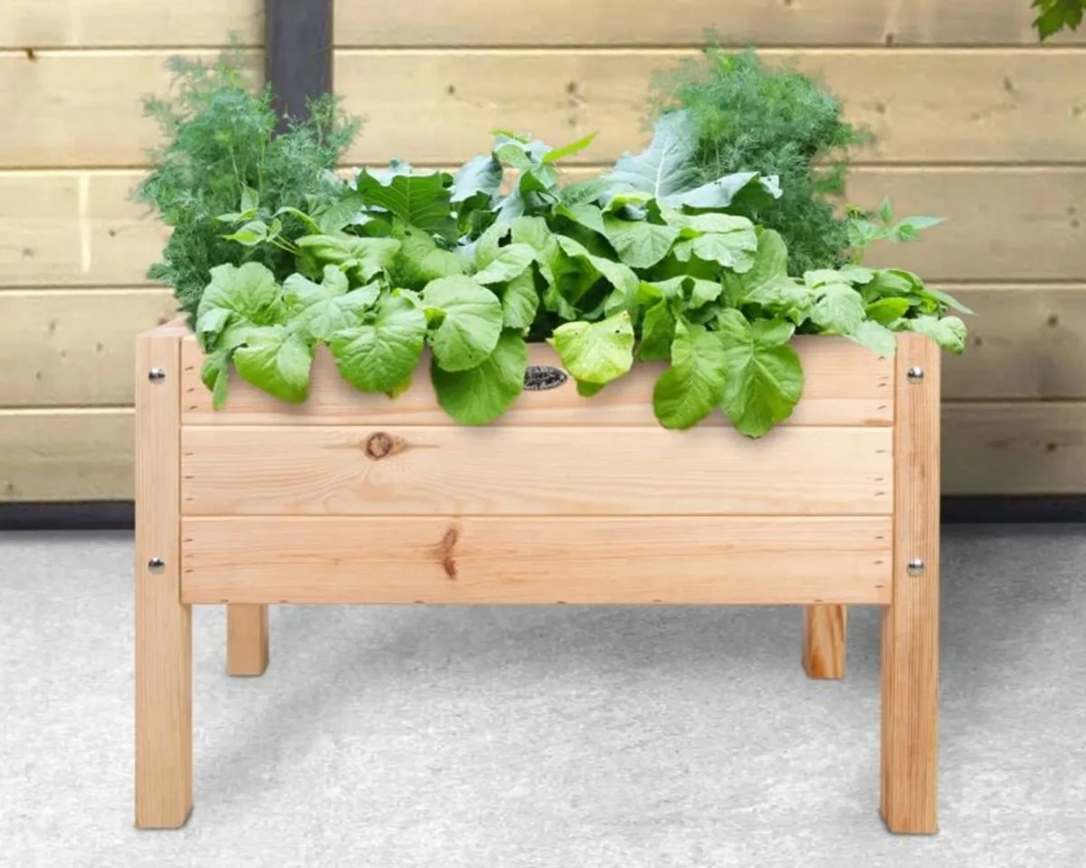Dynamic24 Holz Mini Hochbeet Kinder Frühbeet 4 Dynamic24 Holz Mini Hochbeet Kinder Frühbeet – Bild 2