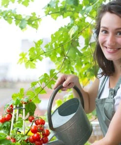 Relaxdays 50 x Pflanzenstab 60 cm 13 Relaxdays 50 x Pflanzenstab 60 cm -Gartenaccessoires Verkäufe 2022 b7f71ad2a7ce46c6a020c6eb0a103a70