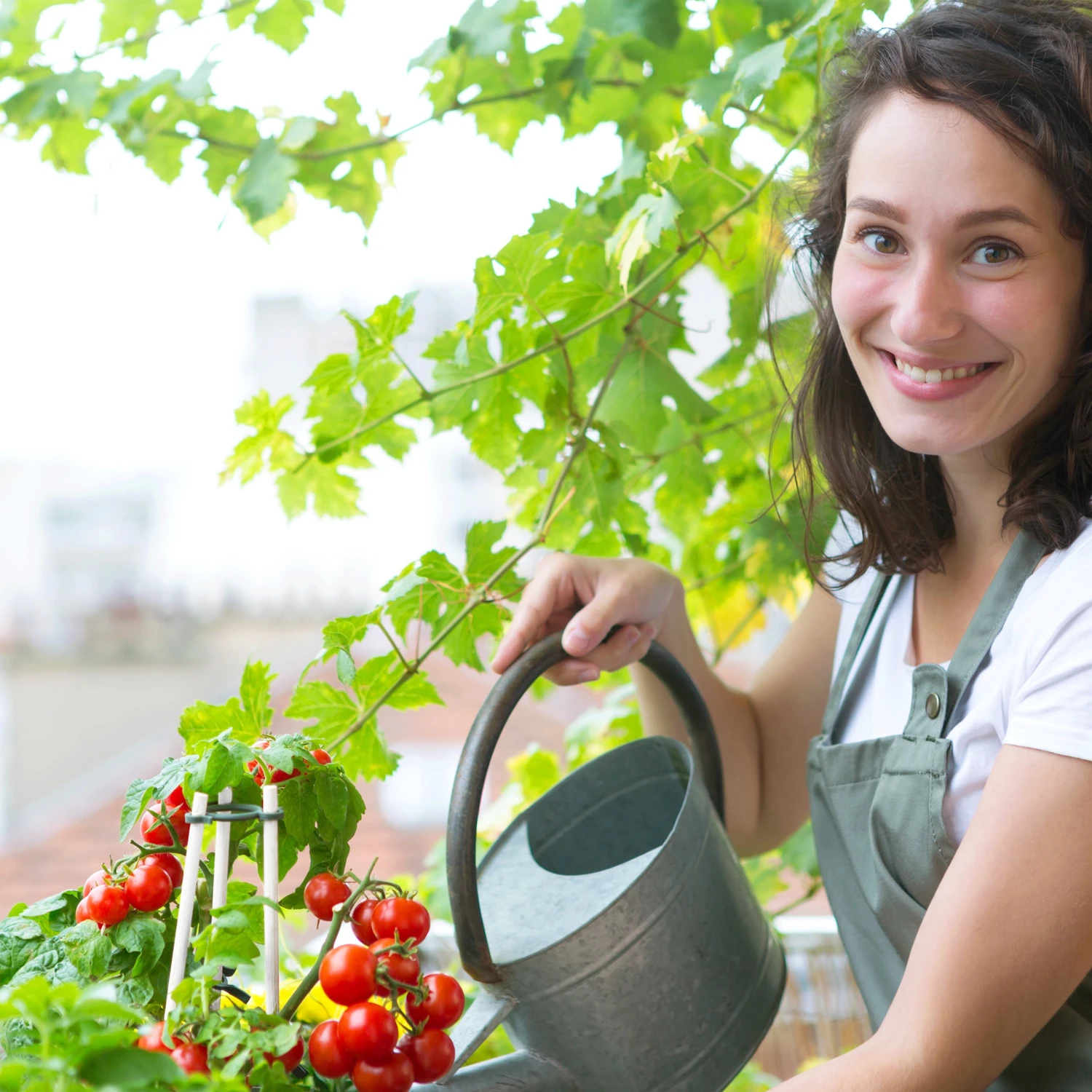 Relaxdays 50 x Pflanzenstab 60 cm 5 Relaxdays 50 x Pflanzenstab 60 cm – Bild 3