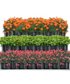 En.casa Pflanzbeet Renswoude