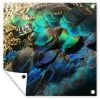 MuchoWow Outdoor-Poster 100x100 Federn - Pfau