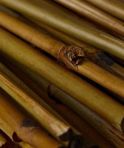 Relaxdays Pflanzstäbe 20 cm im 50er Set 15 Relaxdays Pflanzstäbe 20 cm im 50er Set -Gartenaccessoires Verkäufe 2022 b8922cdd664a4c6ebb74c577dda53818