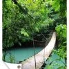 MuchoWow Outdoor-Poster 60x90 Natur - Brücke -