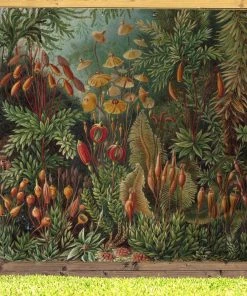 MuchoWow Outdoor-Poster 200x200 Muscinae - -Gartenaccessoires Verkäufe 2022 b9ffe35fb5b64886ba543634a78b0f38