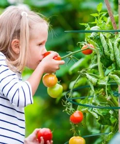 Relaxdays Staudenringe 39 cm 6er Set 13 Relaxdays Staudenringe 39 cm 6er Set -Gartenaccessoires Verkäufe 2022 bee2e404fd7d43a9ba35e08e1f92d8c5