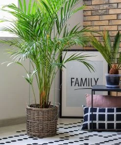 Relaxdays Rankhilfe 2er Set 91 cm -Gartenaccessoires Verkäufe 2022 c190fc7d9dbc41609dbcb4f4aa81a1b4