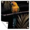MuchoWow Outdoor-Poster 100x100 Vogel -
