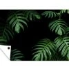 MuchoWow Outdoor-Poster 60x40 Dschungel - -Gartenaccessoires Verkäufe 2022 c3d948034860489995c67ada24688708.cropped 32 106 845 675.processed
