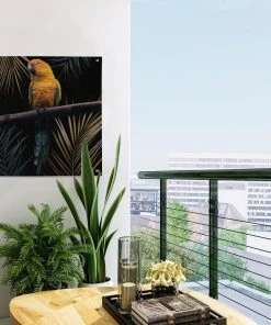 MuchoWow Outdoor-Poster 50x50 Vogel - Papagei -Gartenaccessoires Verkäufe 2022 ca6c50c30e09431d8ef726dd1dc3c1b9
