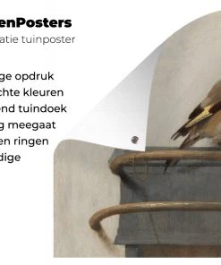 MuchoWow Outdoor-Poster 100x100 Der Stieglitz -Gartenaccessoires Verkäufe 2022 cbd1dd682e014f5dbe9a736948e14e1b.cropped 45 19 1455 962.processed 1