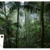 MuchoWow Outdoor-Poster 120x80 Regenwald -