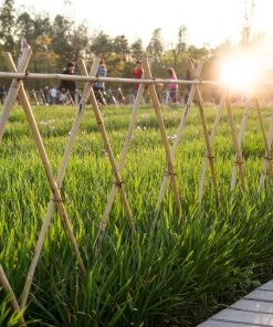 Relaxdays 50er Set Bambusstäbe 60 cm -Gartenaccessoires Verkäufe 2022 ccddfbcde09f47a092ad4411b0e1d089