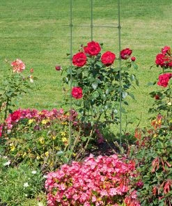 Relaxdays Rankhilfe 2er Set 91 cm -Gartenaccessoires Verkäufe 2022 cd344bfde13f4d2abe10c5d04d6b7ea5