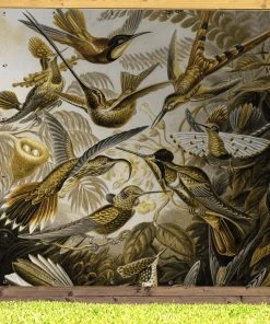 MuchoWow Outdoor-Poster 200x200 Trochilidae - -Gartenaccessoires Verkäufe 2022 d10b3c5bcf31401fb9dac1014c69ab6e