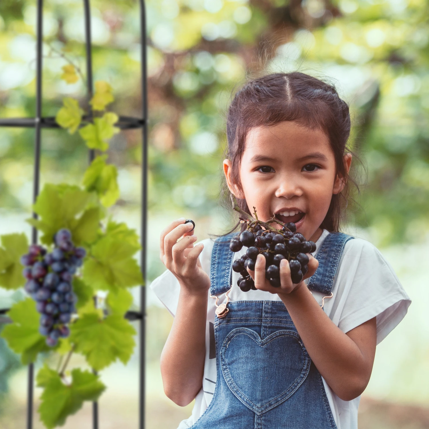 Relaxdays Rankhilfe 200 cm 2er Set 5 Relaxdays Rankhilfe 200 cm 2er Set – Bild 3