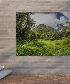 MuchoWow Outdoor-Poster 180x120 Dschungel - -Gartenaccessoires Verkäufe 2022 d245ef1e4f7342c5a2692742b832004e