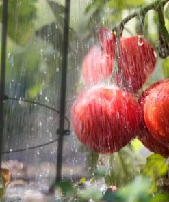 Relaxdays Schwarze Rankhilfe im 2er Set 76 cm -Gartenaccessoires Verkäufe 2022 d3e3f1d72a204287b12b4669c704723f