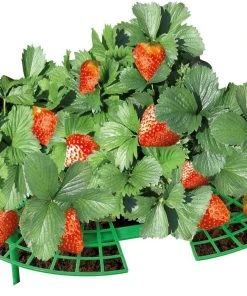 Erdbeer-Reifer, Ø 40 cm, 5 Stück, WENKO -Gartenaccessoires Verkäufe 2022 d40053a22f17420982f839b3439dd03a