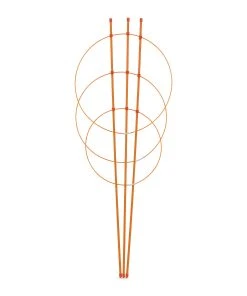 Relaxdays Orange Rankhilfe im 2er Set 76 cm -Gartenaccessoires Verkäufe 2022 d49e2b76068f4cee93dc7b215d160470