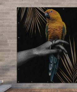 MuchoWow Outdoor-Poster 200x200 Vogel - -Gartenaccessoires Verkäufe 2022 d5c0d6f6437f46c49701bcc0a41f7a6a