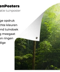 MuchoWow Outdoor-Poster 180x120 Dschungel - -Gartenaccessoires Verkäufe 2022 dbbcce21035b45d79cd6bae5787eff80.cropped 45 20 1455 961.processed