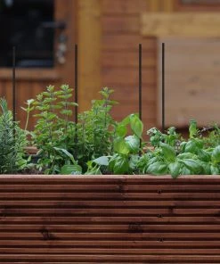 Relaxdays Schwarze Pflanzstäbe 30 cm im 50er Set 12 Relaxdays Schwarze Pflanzstäbe 30 cm im 50er Set -Gartenaccessoires Verkäufe 2022 df4d49dbf3444c4eae1c77464a8c5b47