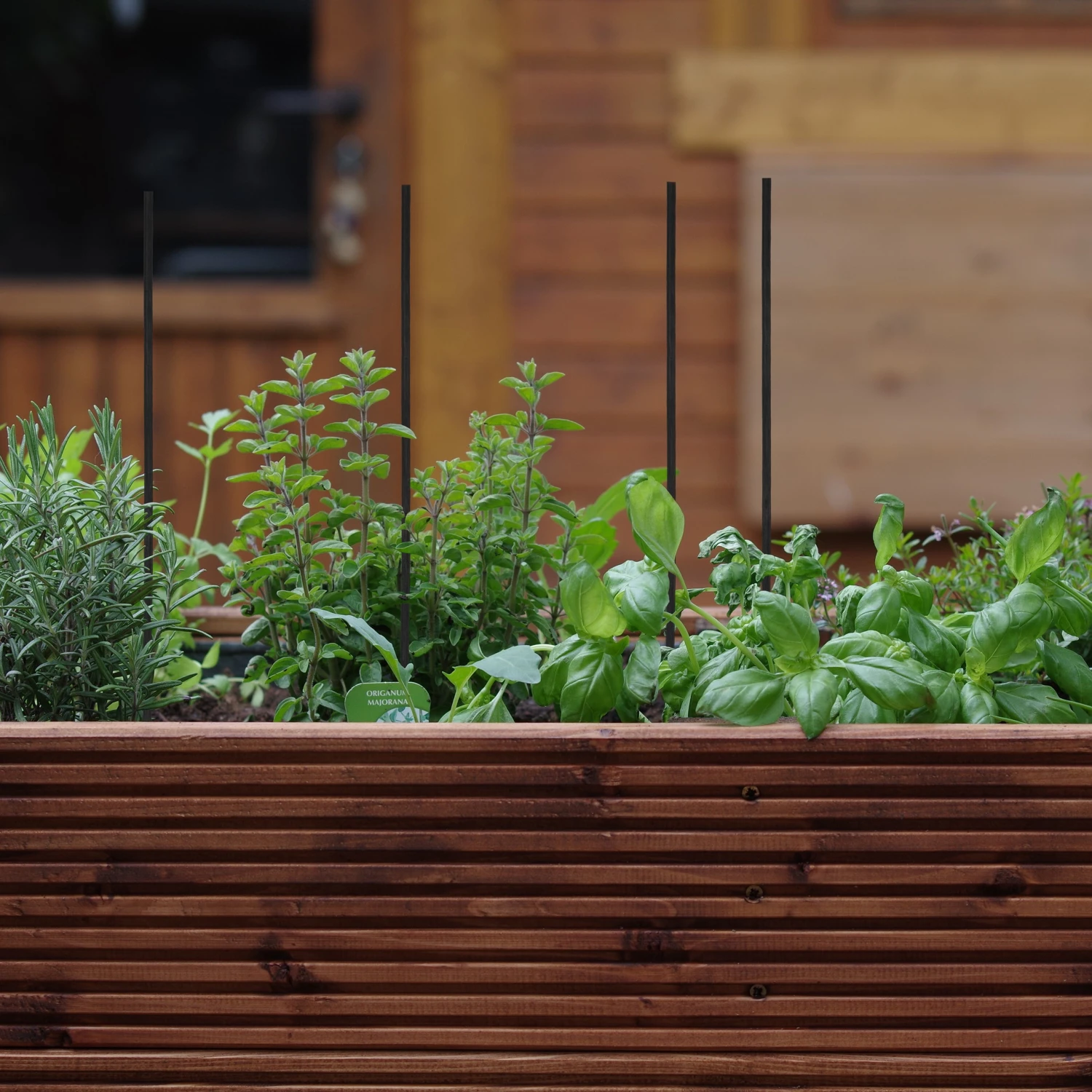 Relaxdays Schwarze Pflanzstäbe 30 cm im 50er Set 4 Relaxdays Schwarze Pflanzstäbe 30 cm im 50er Set – Bild 2