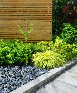 Relaxdays Rankhilfe 170 cm hoch 2er Set 13 Relaxdays Rankhilfe 170 cm hoch 2er Set -Gartenaccessoires Verkäufe 2022 e10dd638be9044bd909d36ef6c80d5fb