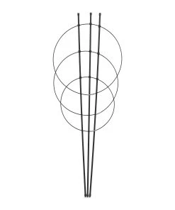 Relaxdays Schwarze Rankhilfe im 6er Set 76 cm 17 Relaxdays Schwarze Rankhilfe im 6er Set 76 cm -Gartenaccessoires Verkäufe 2022 e28b20fd45d04d518b1281dc4c836c68