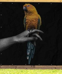 MuchoWow Outdoor-Poster 200x200 Vogel - -Gartenaccessoires Verkäufe 2022 e5d6a188316c4598b8219f3d9e0d677d