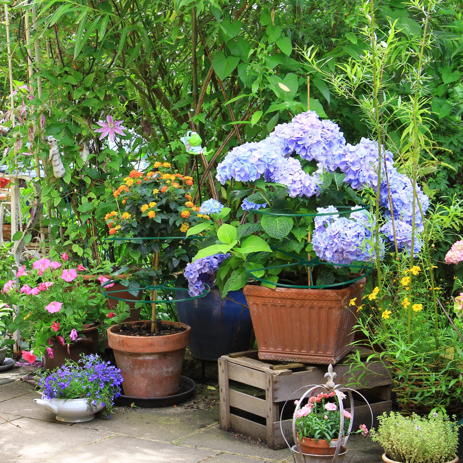 Relaxdays Staudenringe 39 cm 6er Set 4 Relaxdays Staudenringe 39 cm 6er Set – Bild 2