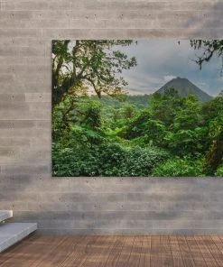 MuchoWow Outdoor-Poster 180x120 Dschungel - -Gartenaccessoires Verkäufe 2022 f0ca70d39baa4109bae7a9e96528b2b7