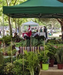 Relaxdays 50er Set Bambusstäbe 60 cm -Gartenaccessoires Verkäufe 2022 f3ec07b2d27c482ea7e30b57e0f8f26d