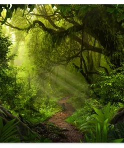 MuchoWow Outdoor-Poster 90x60 Dschungel -