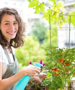 Relaxdays Grüne Rankhilfe im 6er Set 76 cm -Gartenaccessoires Verkäufe 2022 f44cf362db8749e6818d85cc55d6c63d