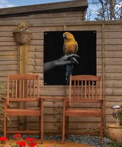 MuchoWow Outdoor-Poster 50x50 Vogel - Papagei -Gartenaccessoires Verkäufe 2022 f4f0cb1ae1874ae9b9a88db5636f268e
