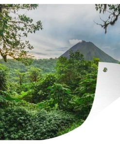 MuchoWow Outdoor-Poster 90x60 Dschungel - Baum