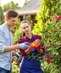 Relaxdays Rankgitter im 2er Set 220 cm -Gartenaccessoires Verkäufe 2022 f74bc6f726744b0e90440f0d0a997861