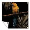 MuchoWow Outdoor-Poster 50x50 Vogel - Papagei