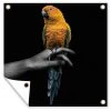 MuchoWow Outdoor-Poster 100x100 Vogel - -Gartenaccessoires Verkäufe 2022 faf2b56729984b5192dbbf8bf2e4a76f.cropped 128 141 640 637.processed 1