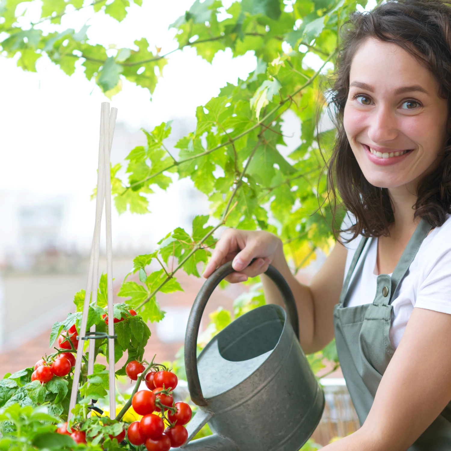 Relaxdays Weiße Pflanzstäbe 90 cm 50er Set 5 Relaxdays Weiße Pflanzstäbe 90 cm 50er Set – Bild 3