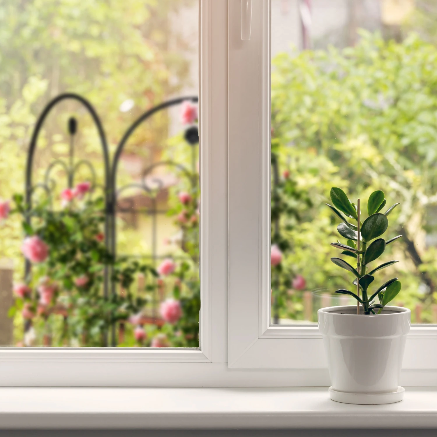 Relaxdays Rankgitter 2er Set 180 cm 6 Relaxdays Rankgitter 2er Set 180 cm – Bild 4